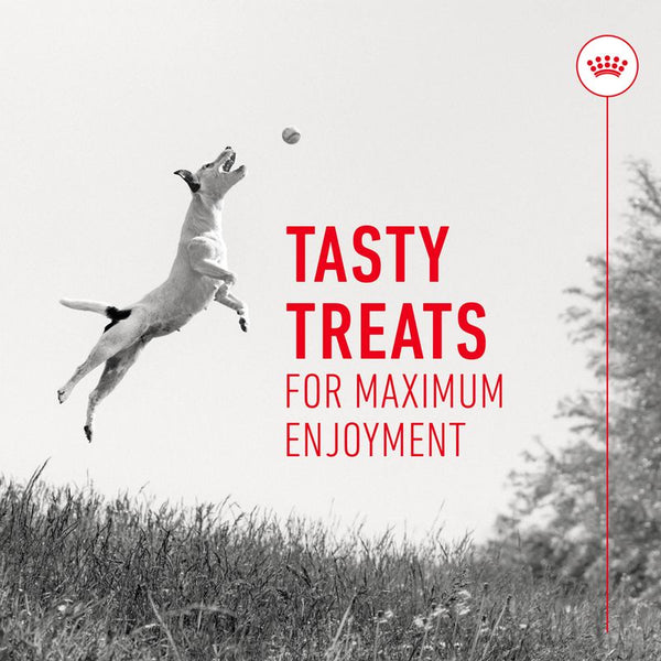 Royal Canin Training Treats || Royal Canin || view 6