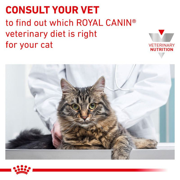 Royal Canin Veterinary Cat - Gastrointestinal || Royal Canin Veterinary Diet || view 11