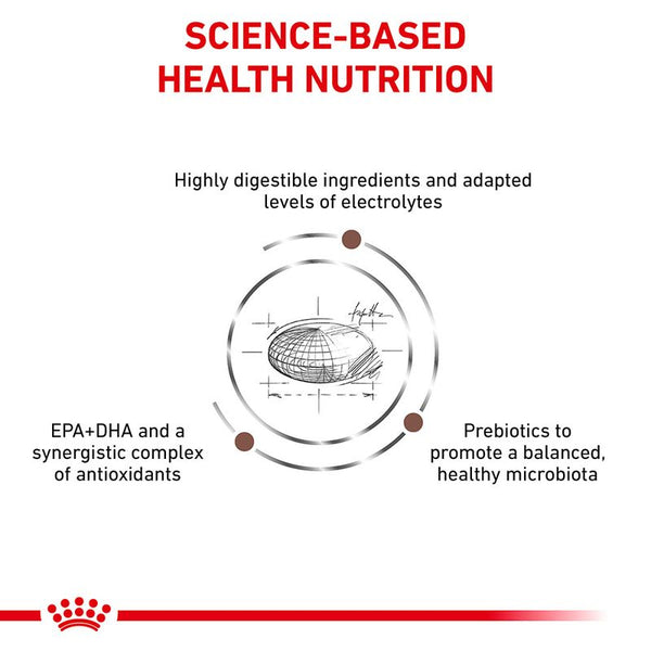 Royal Canin Veterinary Dog - Gastrointestinal || Royal Canin Veterinary Diet || view 5