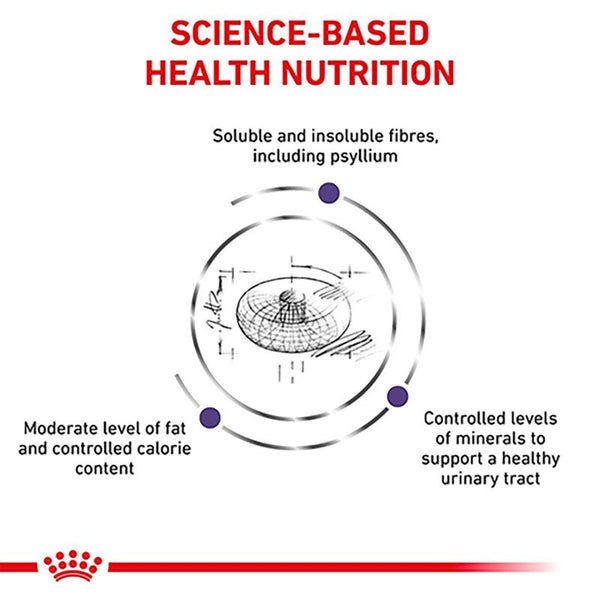 Royal Canin Expert - Neutered Adult Small Dog || Royal Canin Veterinary Diet || view 4