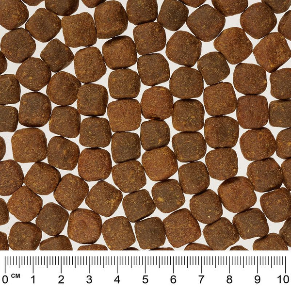 Rocco Mealtime - with Tripe || Rocco || view 3