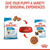 Royal Canin X-Small Puppy in Gravy || Royal Canin Care Nutrition || view 6