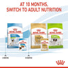Royal Canin X-Small Puppy in Gravy || Royal Canin Care Nutrition || view 7