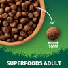 Harringtons Adult Grain Free with Superfoods Dry Dog Food - Chicken || Harringtons || view 3