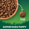 Harringtons Puppy Grain-Free with Superfoods Dry Dog Food - Chicken || Harringtons || view 3