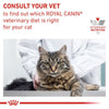 Royal Canin Veterinary Cat - Gastrointestinal in Gravy || undefined || view 9
