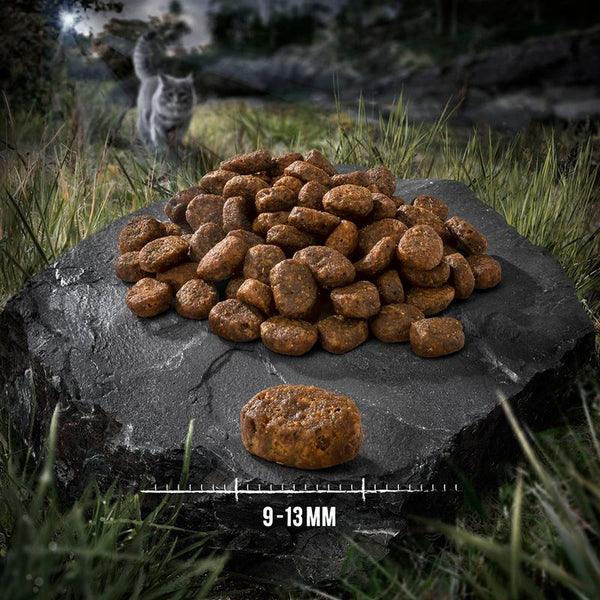 Wild Freedom Adult "Cold River"Salmon - Grain-free || Wild Freedom || view 2