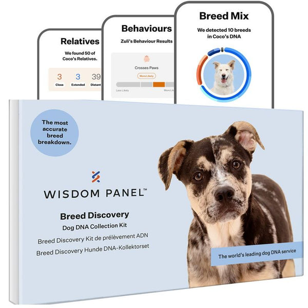 Wisdom Panel™ Breed Discovery Dog DNA Test || Wisdom Panel || view 3