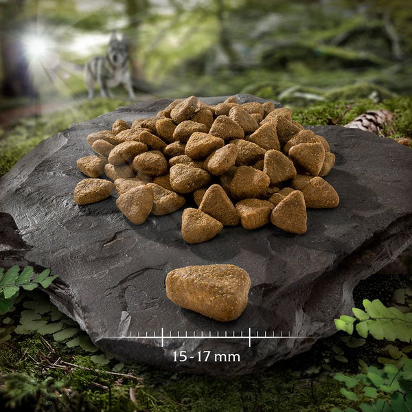 Wolf of Wilderness Sensitive Adult "Rough Storms" - Duck || Wolf of Wilderness || view 3