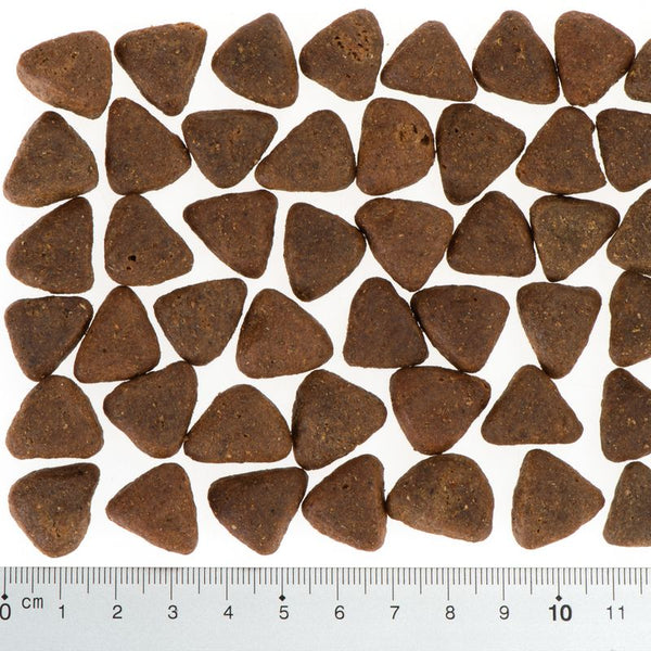 Wolf of Wilderness "Elements" Mixed Trial Pack || Wolf of Wilderness || view 16