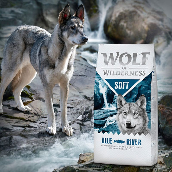 Wolf of Wilderness Soft "Blue River" - Salmon || Wolf of Wilderness || view 5