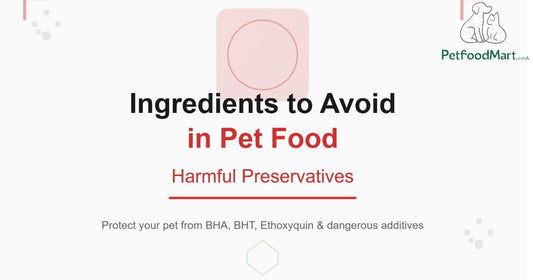 Ingredients to avoid in Pet Food