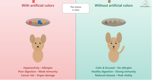 How to Spot Avoid Artificial colors in pet Food