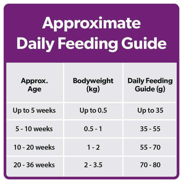 Burns Kitten Chicken & Rice || Burns || view 6