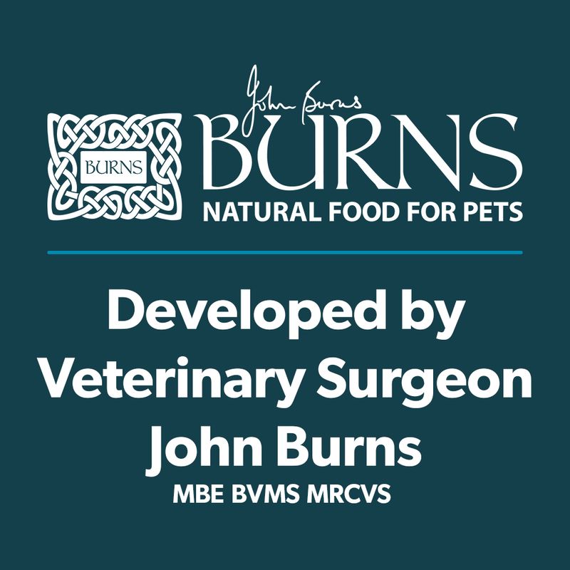 Burns Wholesome Turkey with Carrots & Brown Rice 12 x 150g || Burns || view 12