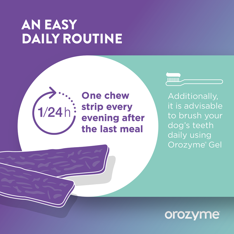 Give a chew snack every evening after the last meal. It is also recommended to brush your pet's teeth daily with Orozyme Gel.