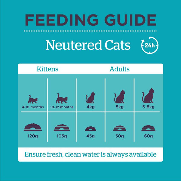 Burgess Neutered Cat with Chicken || Burgess || view 5