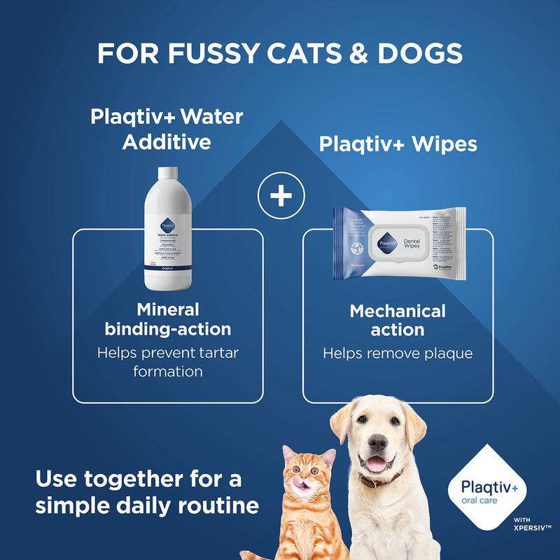 Plaqitv+ Water Additive with mineral binding action against tartar and Plaqtiv+ Wipes with mechanical action against plaque. Combine for an easy daily routine.