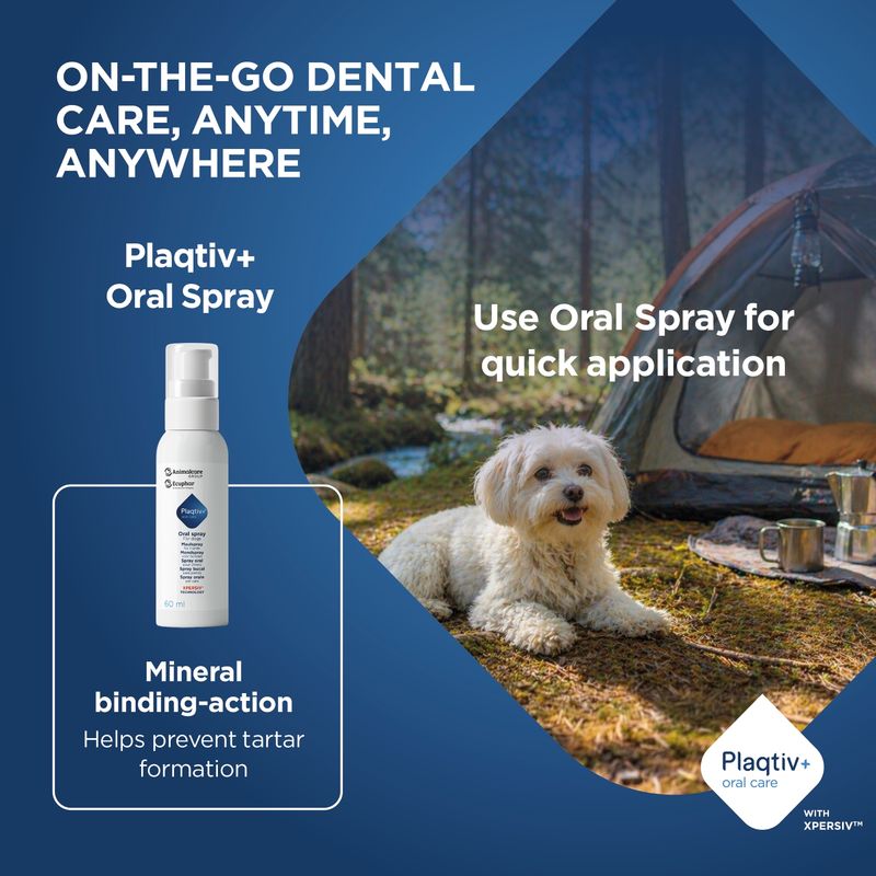 Plaqitv+ Oral Spray, mineral binding for the prevention of tartar. Quick application on the go. With Xpersiv. 60 ml bottle shown.