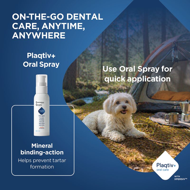 Plaqitv+ Oral Spray, mineral binding to prevent tartar. Quick application possible on the go. Plaqtiv+ oral care with XPERSIV.