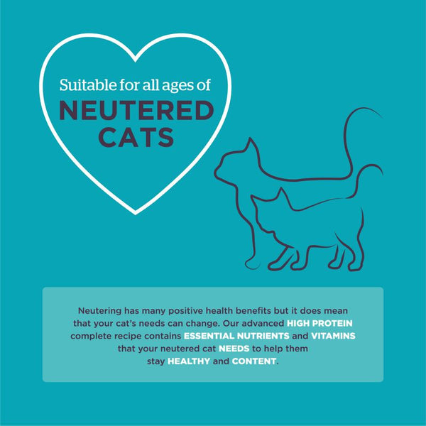 Burgess Neutered Cat with Chicken || Burgess || view 4