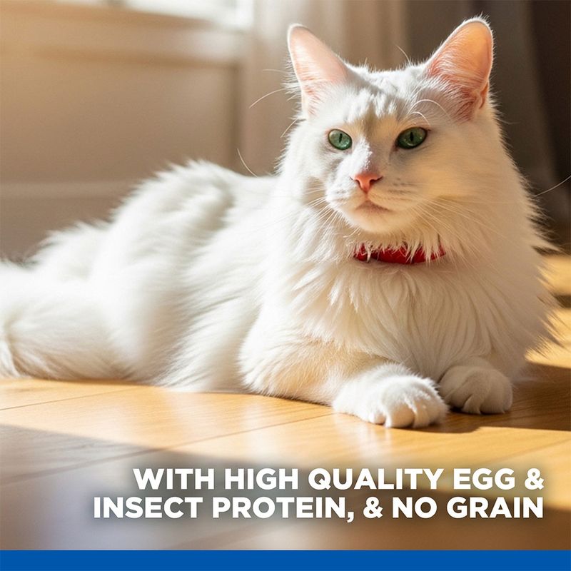 Hill's Science Plan Hypoallergenic Adult 1 - 6 No Grain with Egg & Insect Protein
