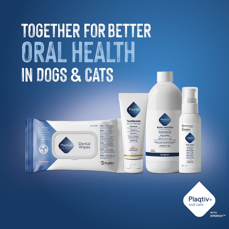 Plaqtiv+ Dental Wipes, Toothpaste, Water Additive and Mouth Spray for Dogs and Cats. Text: Together for better oral health in dogs & cats.