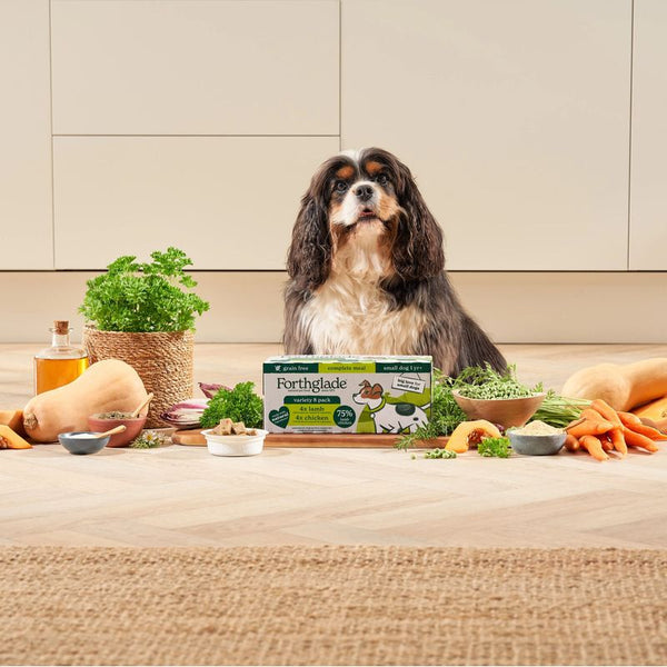 Forthglade Complete Meal Grain-Free Adult Small Dog - Lamb & Chicken || Forthglade || view 5