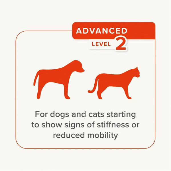 beaphar Flexifit® Advanced Joint Supplement Paste for Cats & Dogs || beaphar || view 7