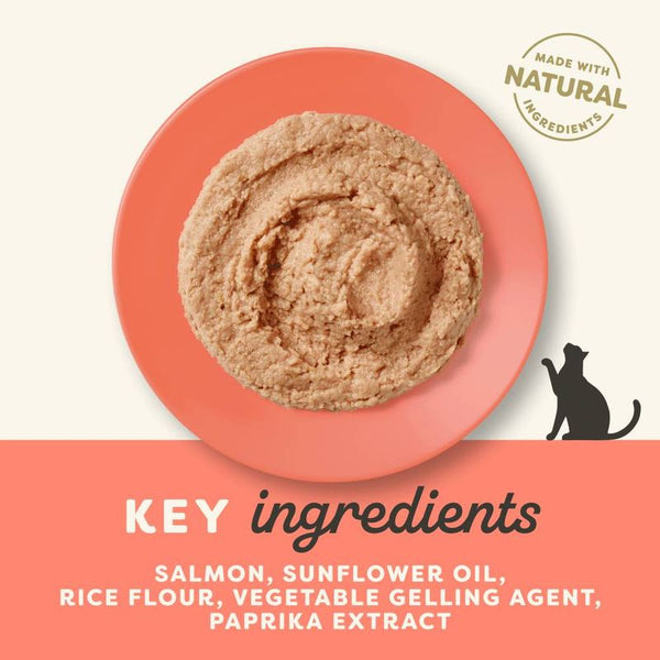 Applaws Adult Cat Cans in Mousse 70g || undefined || view 5