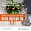 Wellness Core Tender Cuts Adult Wet Cat Food || Wellness Core || view 16
