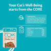 Wellness Core Tender Cuts Adult Wet Cat Food || Wellness Core || view 11