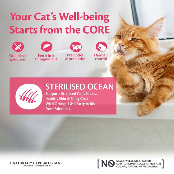 Wellness Core Adult Sterilised Ocean Dry Cat Food || Wellness Core || view 5