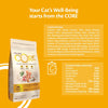 Wellness Core Adult Sterilised Original Dry Cat Food || Wellness Core || view 4