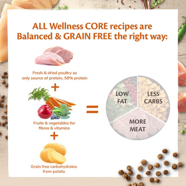 Wellness Core Adult Sterilised Original Dry Cat Food || Wellness Core || view 6