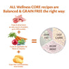 Wellness Core All Breeds Adult Lamb Dry Dog Food || Wellness Core || view 4
