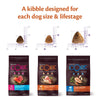 Wellness Core Large Adult Original Dry Dog Food || Wellness Core || view 6