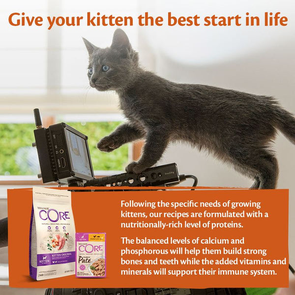Wellness Core Purely Paté Wet Cat Food || Wellness Core || view 17
