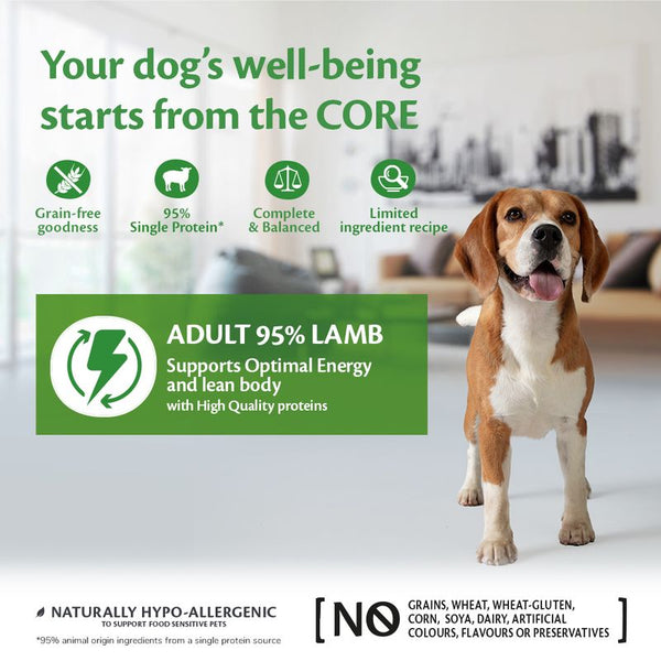 Wellness Core Adult 95% Single Protein Lamb & Pumpkin Wet Dog Food || Wellness Core || view 3