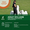 Wellness Core Adult 95% Single Protein Lamb & Pumpkin Wet Dog Food || Wellness Core || view 5