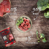 Wellness Core Adult 95% Single Protein Beef & Broccoli Wet Dog Food || Wellness Core || view 3