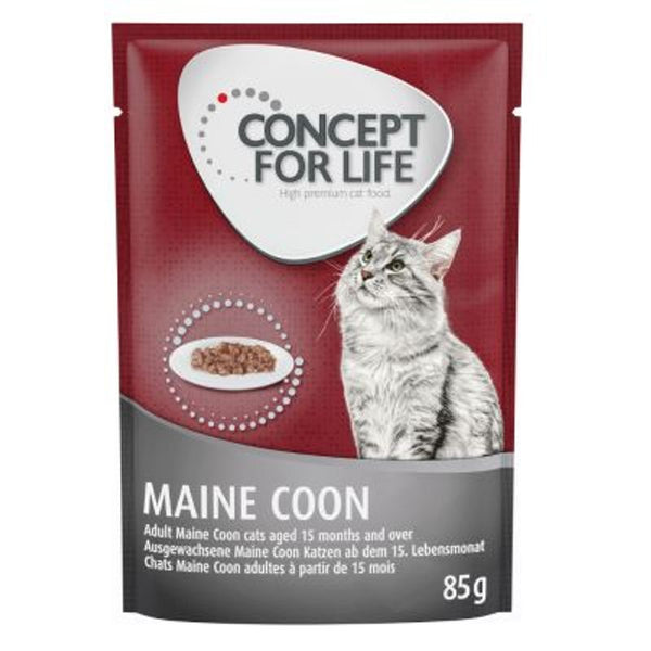 Concept for Life Maine Coon Adult || Concept for Life || view 5