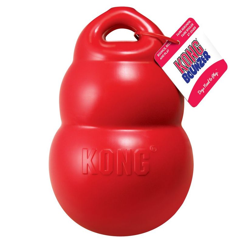 Red KONG Bouncer dog toy with handle and label. The label says 'KONG Bouncer' and 'Dogs Need to Play'.