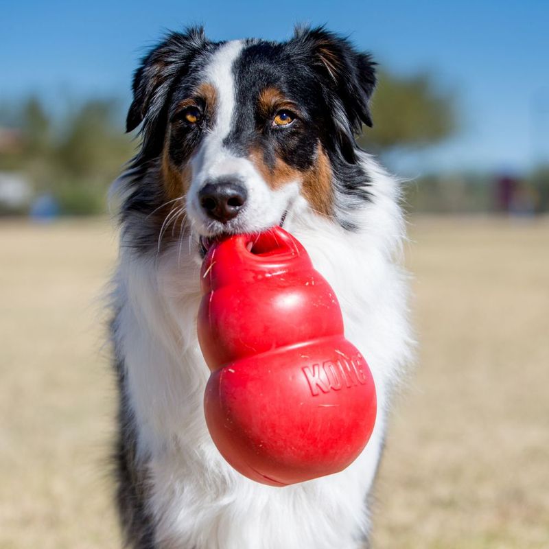 Dog holding red KONG toy in mouth. Toy made of durable material, suitable for fetch games.
