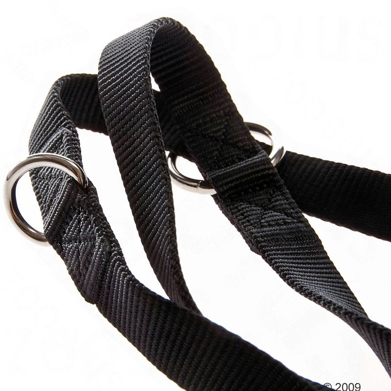 Black nylon harness with adjustable straps and two metal rings for secure fastening.