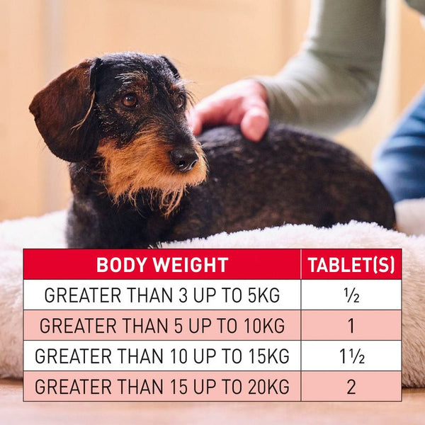 beaphar WORMclear® Tablets for Dogs || beaphar || view 5
