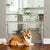Carlson Expandable Plastic Pet Gate || Carlson Pet Products || view 1