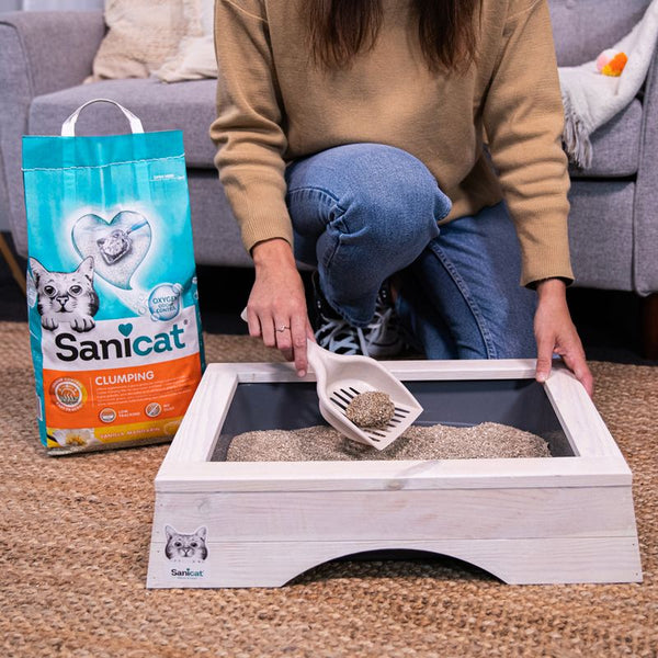 Sanicat Vanilla Mandarin Clumping Cat Litter || Sanicat || view 4