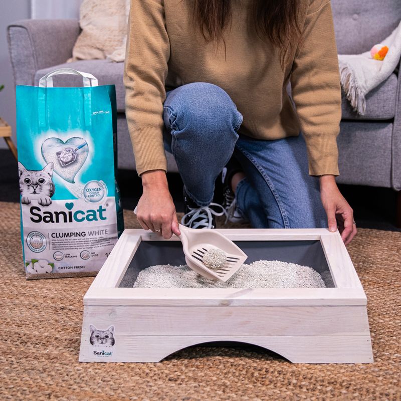 Sanicat Clumping White cat litter, person removes clumps with scoop from wooden litter tray. Packaging shows 'Oxygen Power' and scent 'Cotton Fresh'.