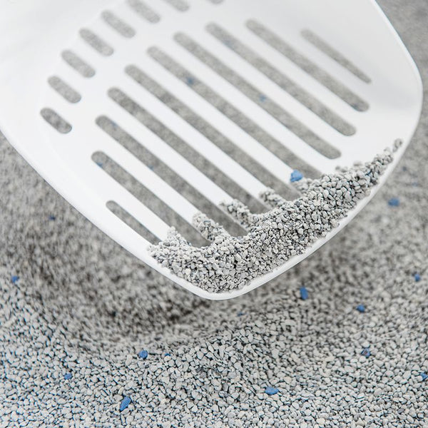 Intersand Classic Baby Powder Scented Cat Litter || undefined || view 3